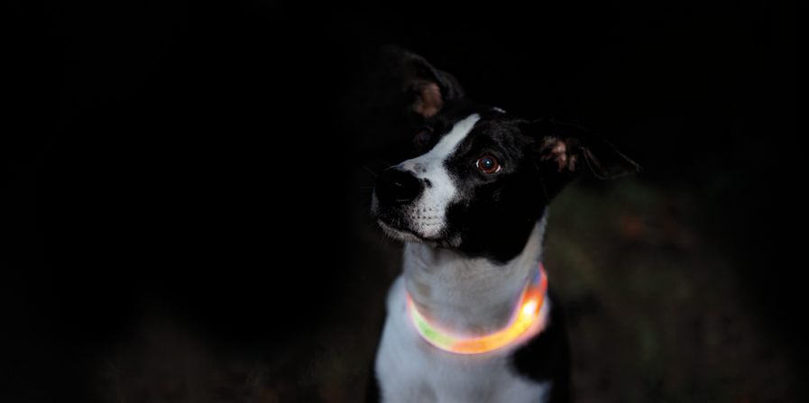 Goed verlicht de straat op