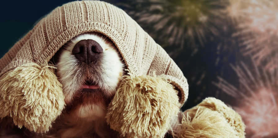 Start op tijd voor een relaxte jaarwisseling