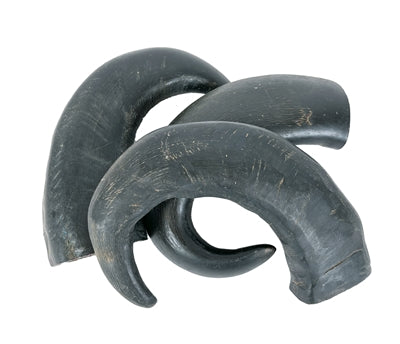 Petsnack Hoorn Tip 3 ST