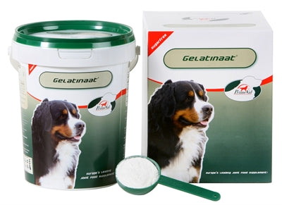Primeval Gelatinaat Hond - 0031 Shop
