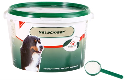 Primeval Gelatinaat Hond - 0031 Shop