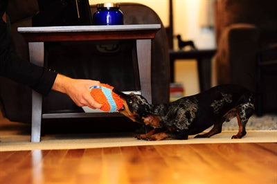 Chuckit Indoor Ball 11,5X11,5X11,5 CM - 0031 Shop