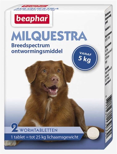 Beaphar Milquestra Hond - 0031 Shop