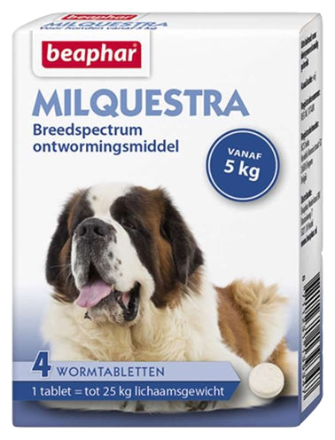 Beaphar Milquestra Hond - 0031 Shop