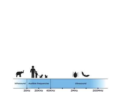 Tickless Teek En Vlo Afweer Voor Hond En Kat Zwart - 0031 Shop