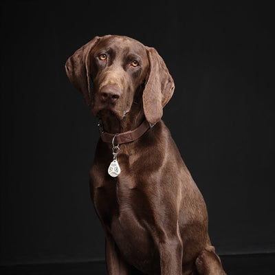 Tickless Teek En Vlo Afweer Voor Hond En Kat Beige - 0031 Shop