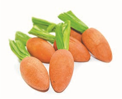 Critter's Choice Happy Pet Carrot Nibblers Knaaghout 8X3X3 CM 6 ST - 0031 Shop