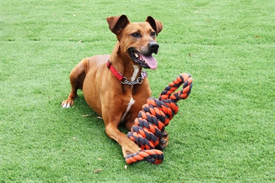 Happy Pet Nuts For Knots Extreme Spoel 8 Vorm Tugger Grijs / Oranje 55X11X11 CM - 0031 Shop