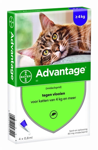 Bayer Advantage Kat 4 Pipetten - 0031 Shop