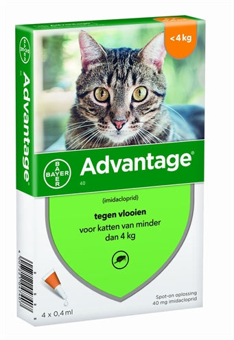Bayer Advantage Kat 4 Pipetten - 0031 Shop