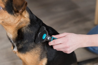 Trixie Carding Vachtkam - 0031 Shop