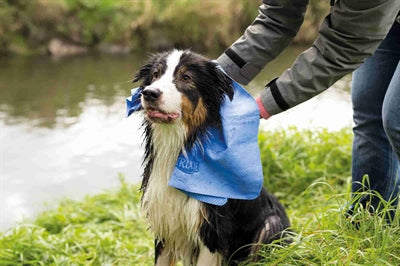 Trixie Handdoek Assorti 66X43 CM - 0031 Shop