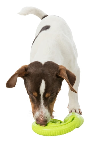 Trixie Snack-Slang Tpr Opgerold 18 CM - 0031 Shop