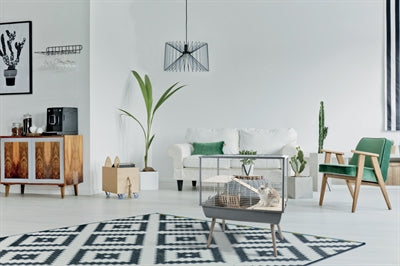 Zolux Knaagdierkooi Neo Muki Zwart 78X48X87,5 CM - 0031 Shop