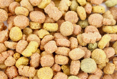 I Am Kattensnoep Rund 70 GR - 0031 Shop