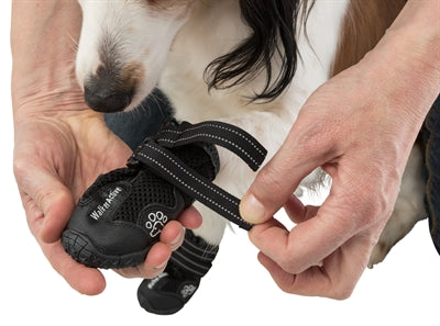 Trixie Pootbescherming Walker Active Zwart - 0031 Shop