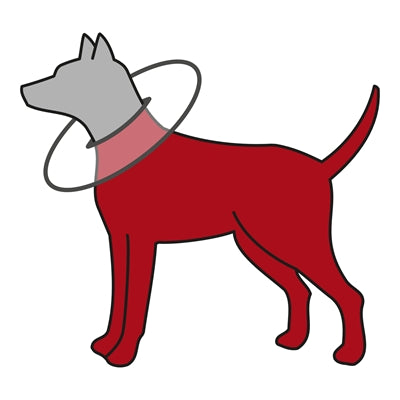 Trixie Beschermkraag Schuimrubber Grijs - 0031 Shop