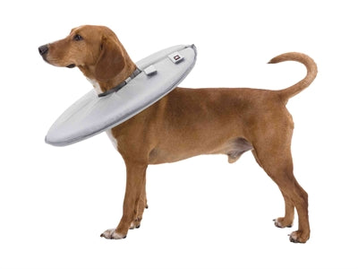 Trixie Beschermkraag Schuimrubber Grijs - 0031 Shop