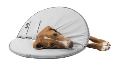 Trixie Beschermkraag Schuimrubber Grijs - 0031 Shop