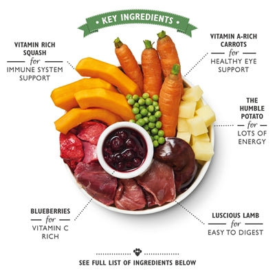 Lily's Kitchen Dog Lamb Hotpot 6X400 GR - 0031 Shop