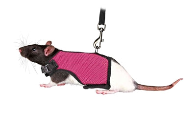 Trixie Softtuig Met Riem Voor Ratten Assorti 12-18X120 CM - 0031 Shop