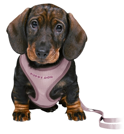 Trixie Junior Puppytuig Soft Met Riem Lila 26-34X1 CM / 2 MTR - 0031 Shop