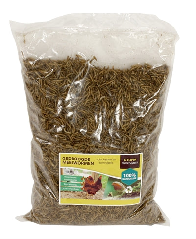 Utopia Meelwormen Voor Kippen En Tuinvogels 1 KG - 0031 Shop