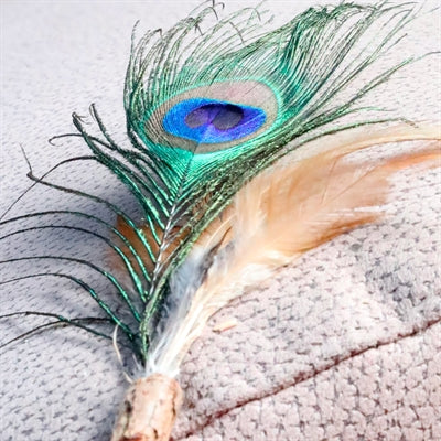 Croci Euphoria Kattenhengel Matatabi Pauwenveer 12 CM - 0031 Shop