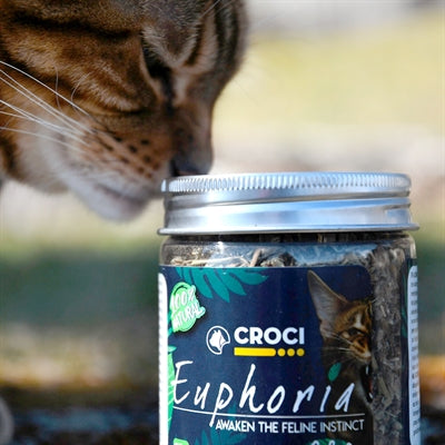 Croci Euphoria Catnip Pot 25 GR - 0031 Shop