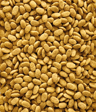 Nutribird P15 Original Onderhoudsvoeder - 0031 Shop