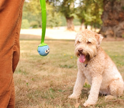 Chuckit The Whistler MEDIUM - 0031 Shop