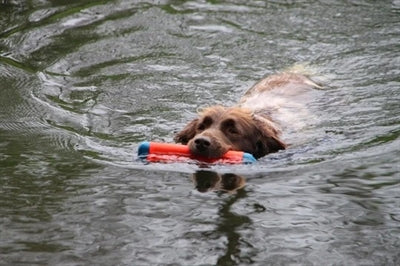 Chuckit Amphibious Bumper SMALL - 0031 Shop