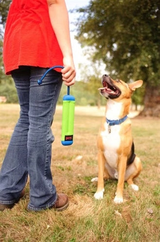 Chuckit Amphibious Bumper SMALL - 0031 Shop