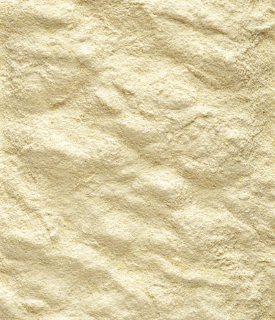 Nutribird A19 Papegaai - 0031 Shop