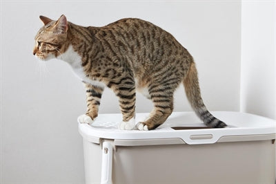 Savic Kattenbak Hop In Mocca / Wit 58,5X39X39,5 CM - 0031 Shop