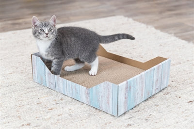 Trixie Krabmand Karton Catnip Turquoise 45X33X12 CM - 0031 Shop