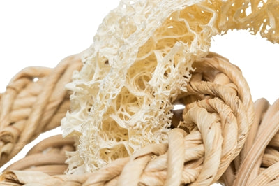 Trixie Luffaring Met Rotan-En Maïsblad Ring Naturel 13X13 CM - 0031 Shop