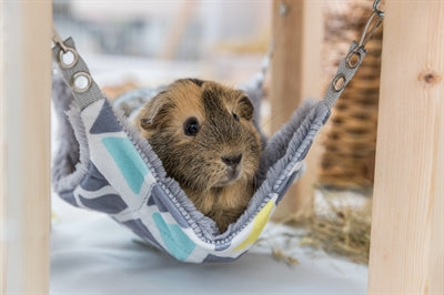 Trixie Schuilplaats Met Hangmat Sunny Assorti / Grijs - 0031 Shop