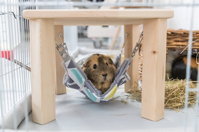 Trixie Schuilplaats Met Hangmat Sunny Assorti / Grijs - 0031 Shop