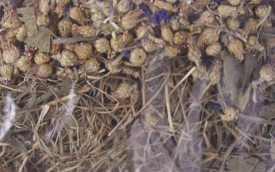 Excellent Kruidenhooi Korenbloem En Berkenblad 500 GR - 0031 Shop