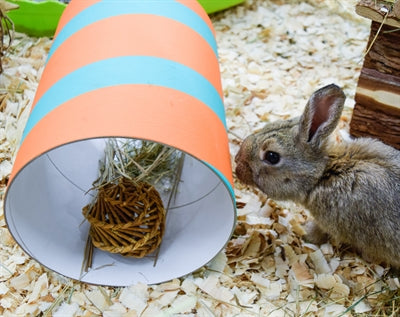 Happy Pet Wilgen Value Pack 2 Sticks/2 Balls 26X9X9 CM - 0031 Shop