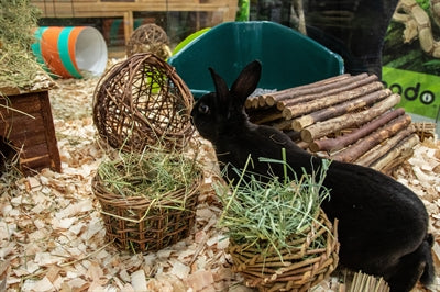 Nature First Happy Pet Wilgen Hooirek 14X12X9 CM - 0031 Shop