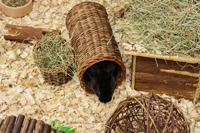 Nature First Happy Pet Wilgen Hooirek 14X12X9 CM - 0031 Shop