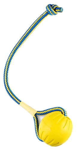Starmark Swing 'N Fling Durafoam Fetch Bal Aan Koord - 0031 Shop