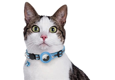 Croci Halsband Kat Met Tag Houder Lichtblauw