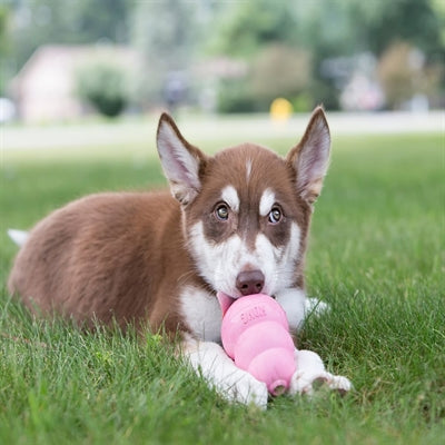 Kong Puppy Roze Of Blauw Assorti - 0031 Shop