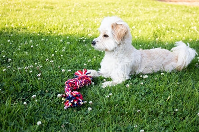 Happy Pet Twist-Tee 3 Knoop Tugger 33X6X5 CM - 0031 Shop