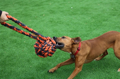 Happy Pet Nuts For Knots Extreme Bal Tugger 60X24X24 CM - 0031 Shop