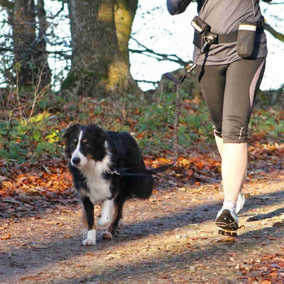Trixie Heupriem Met Jogginglijn Zwart RIEM 60-120 CM LIJN 100-135 CM - 0031 Shop