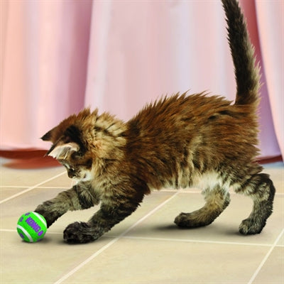 Kong Kat Tennisballen Met Bellen 4X4X4 CM 3 ST - 0031 Shop
